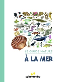 Le guide nature à la mer