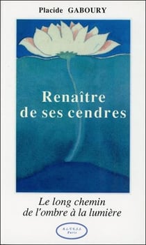 Renaitre de ses cendres - le long chemin de l'ombre à la lumière