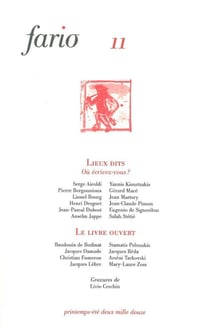 REVUE FARIO n.11