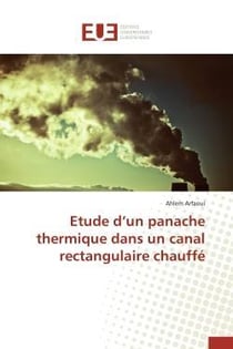 Etude d'un panache thermique dans un canal rectangulaire chauffe