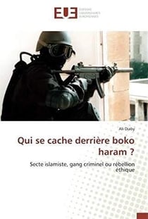Qui se cache derriere boko haram ?