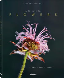 A tribute to flowers / plants under pressure