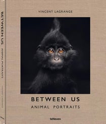 Between US : Animal portraits