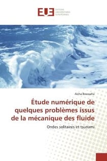 Étude numérique de quelques problEmes issus de la mécanique des fluide : Ondes solitaires et tsunami