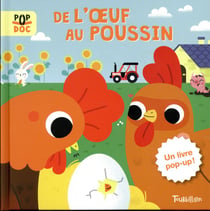 De l'oeuf au poussin - pop up