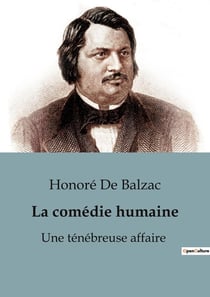 La comédie humaine : Une ténébreuse affaire : Les secrets d'une France en pleine transition