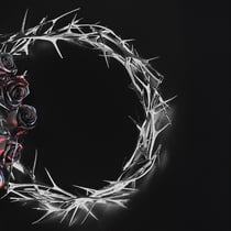 The Rose DUAL Vinyle Noir Collector (Dusk version)