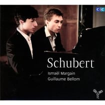 Fantaisie d.940 - allegro 'lebenssturme d.947 - sonate grand duo d.812