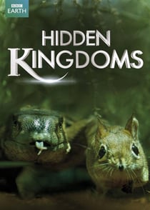 Hidden Kingdoms : le peuple miniature