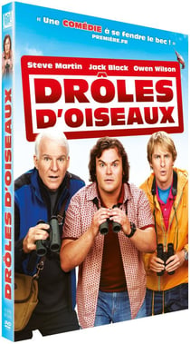 Drôles d'oiseaux
