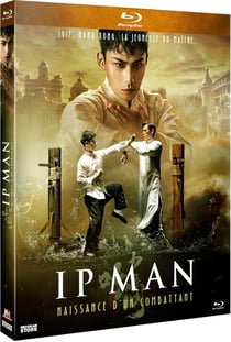 Ip Man : Naissance d'un combattant