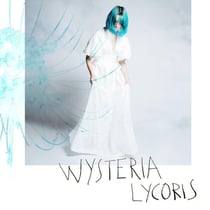 Lycoris