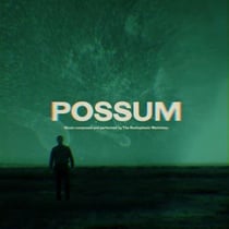Possum