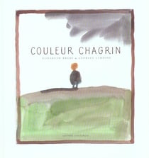 Couleur chagrin