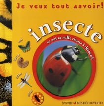 Insecte - un mot et mille choses à découvrir