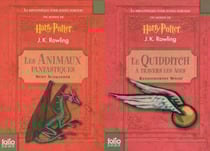 Les animaux fantastiques - le Quidditch à travers les âges