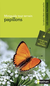 Papillons