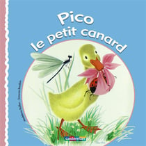 Pico Le Petit Canard