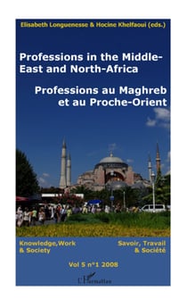 Professions in the Middle-East and North-Africa - professions au Maghreb et au Proche-Orient - knowledge, work & society - savoir, travail & société Tome 5 (édition 2008)