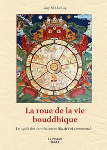 La roue de la vie bouddhique : le cycle des renaissances illustré et commenté