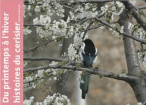 Du printemps à l'hiver - histoires du cerisier