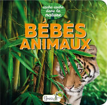 Cache-cache dans la nature : bébés animaux