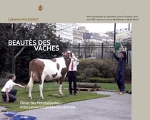 Beautés des vaches
