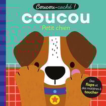 Coucou-caché : Coucou petit chien