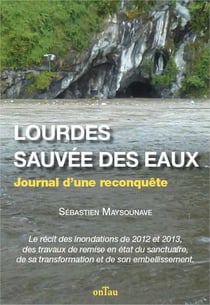 Lourdes, sauvée des eaux - journal d'une reconquête