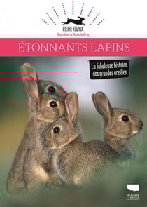 Étonnants lapins - la fabuleuse histoire des grandes oreilles