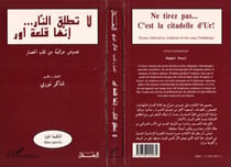 Ne tirez pas : c'est la citadelle d'ur