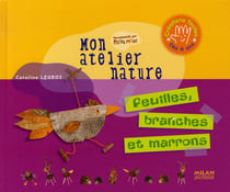 Feuilles, branches et marrons
