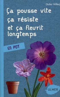 En pot - ça pousse vite, ça résiste et ça fleurit longtemps