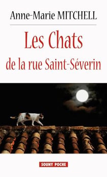Les chats de la rue saint-séverin