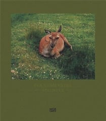 Eva vermandel splinter