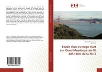 Etude d'un ouvrage d'art sur oued moulouya au pk 485+000 de la rn 2