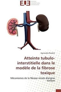 Atteinte tubulo-interstitielle dans le modele de la fibrose toxique
