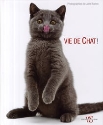 Vide de chat !