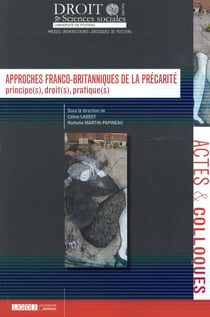 APPROCHES FRANCO-BRITANNIQUES DE LA PRÉCARITÉ