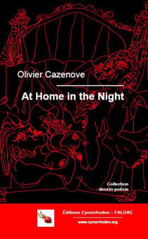 At home in the night