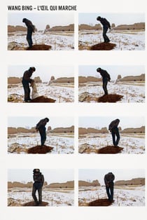 Wang bing - l'oeil qui marche