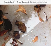 Sonatas & impromptus