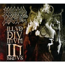 Illud divinum insanus