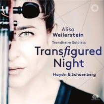 Transfigured night