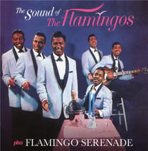 The sound of + flamingo serenade