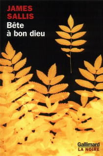 Bête à bon dieu