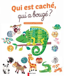 Qui Est Cache Qui A Bouge