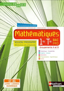 Pavages : mathématiques : 1re/terminale bac pro : groupements a et b : livre + licence élève (édition 2020)