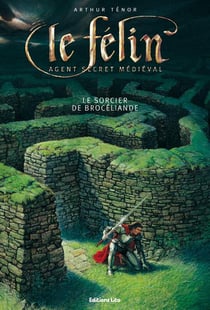 Le félin, agent secret mediéval - le sorcier de brocéliande