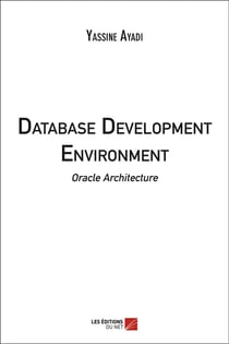Database development environment - oracle architecture